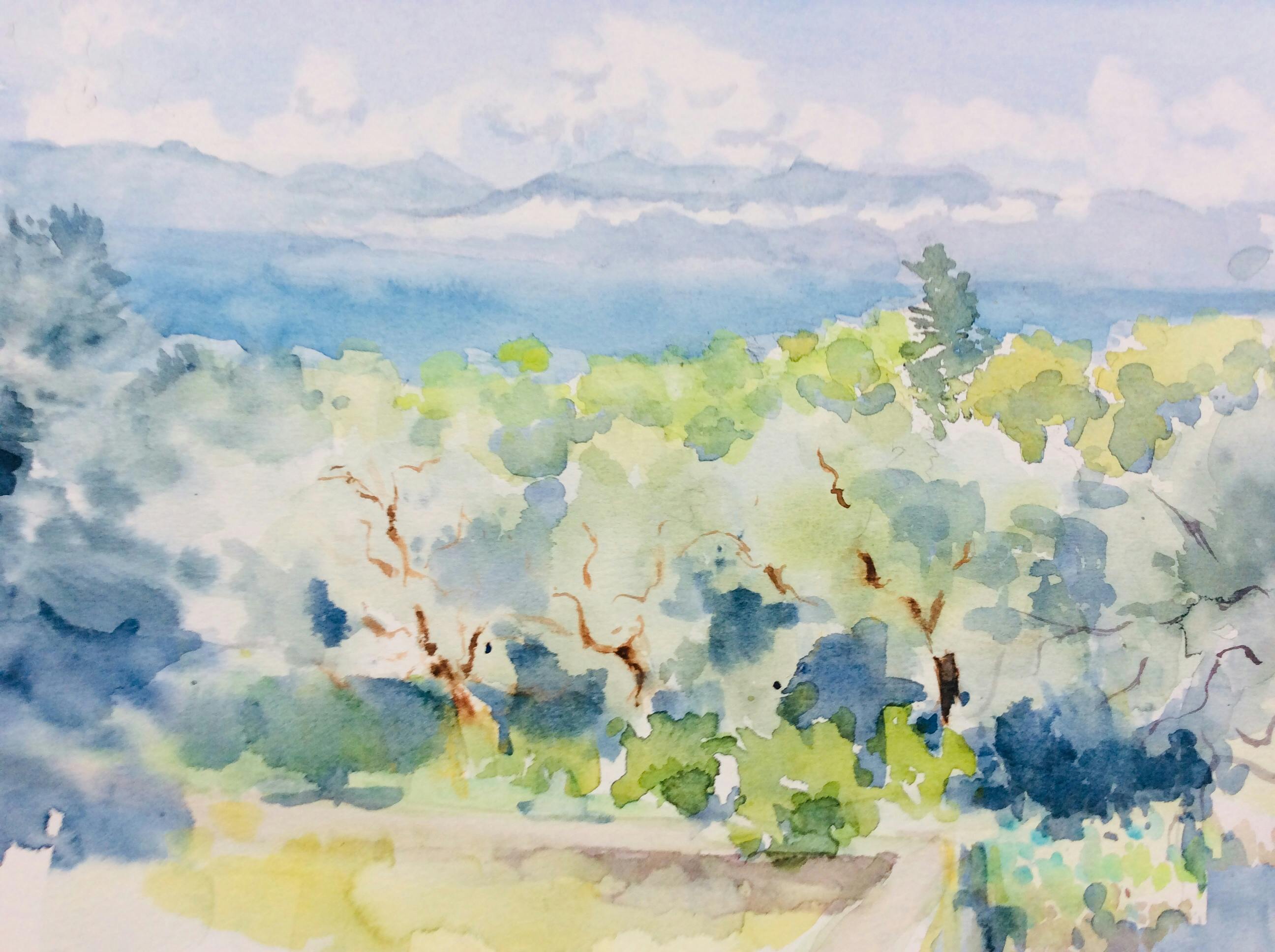Cover Image for Olive Trees in Paxos